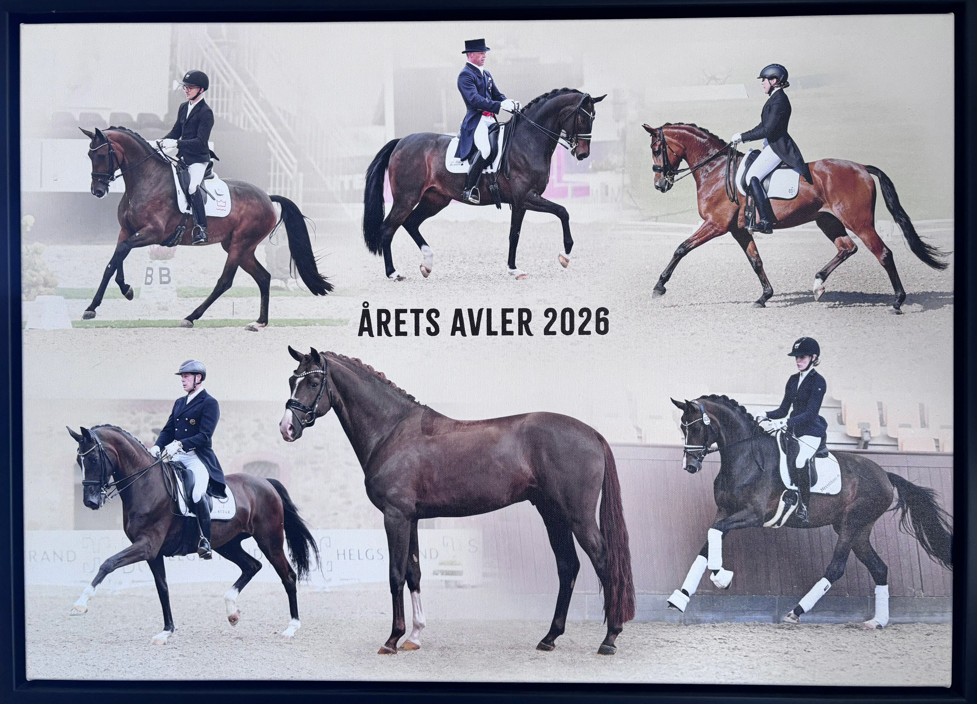 Aaretsavler_planche